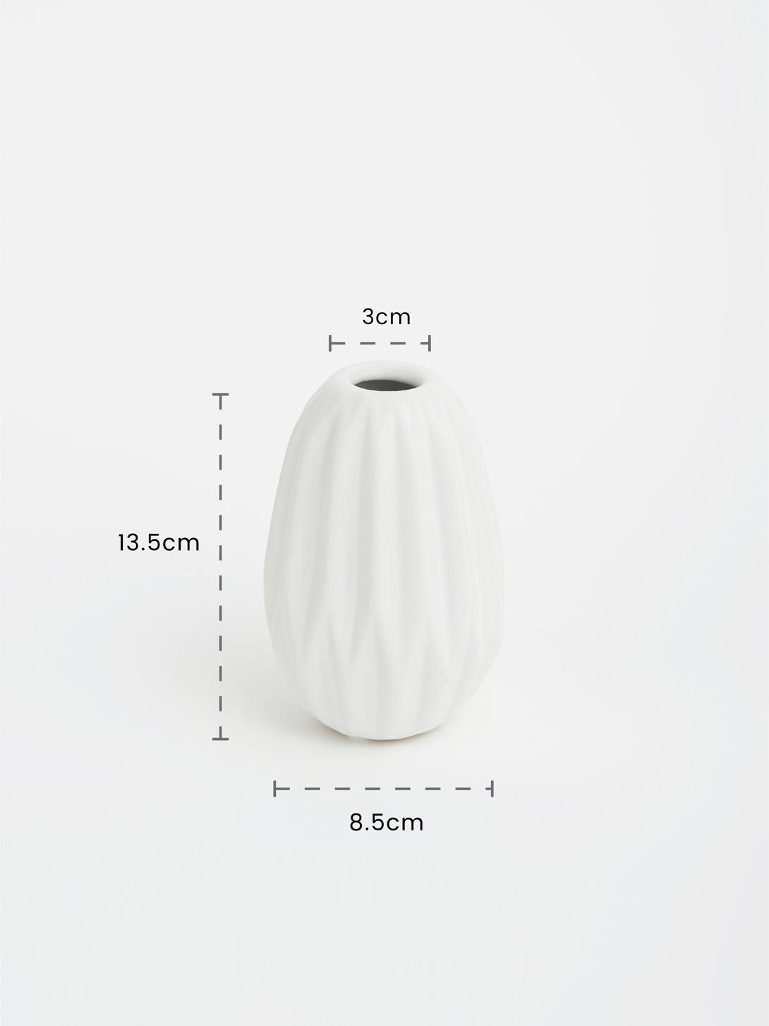 Modern Elegant Ceramic Vase Collection - LivingTaste CA